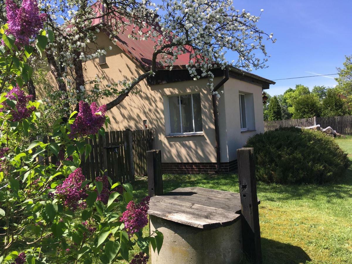 Borywood Villa Male Gacno Eksteriør bilde